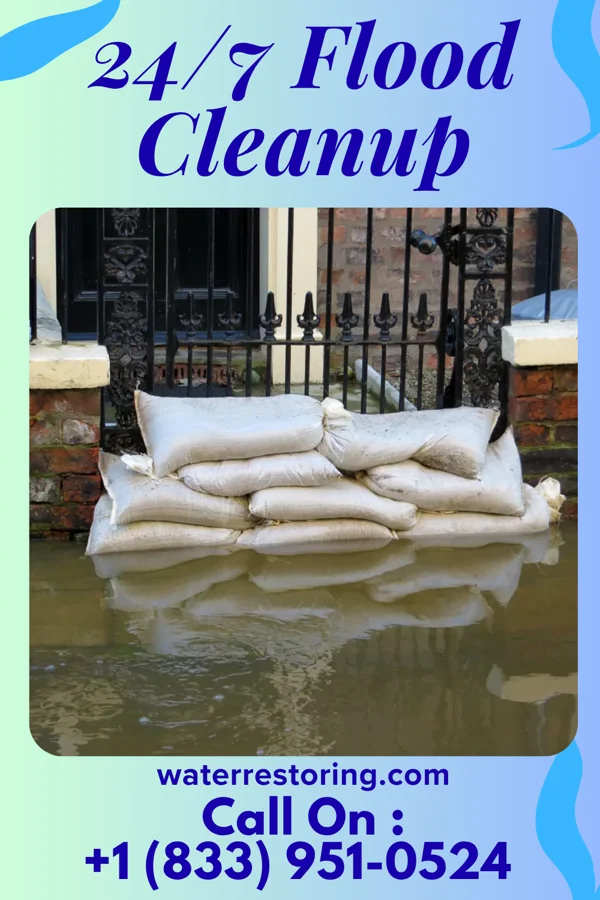 24/7 Flood Cleanup in Halaula, HI