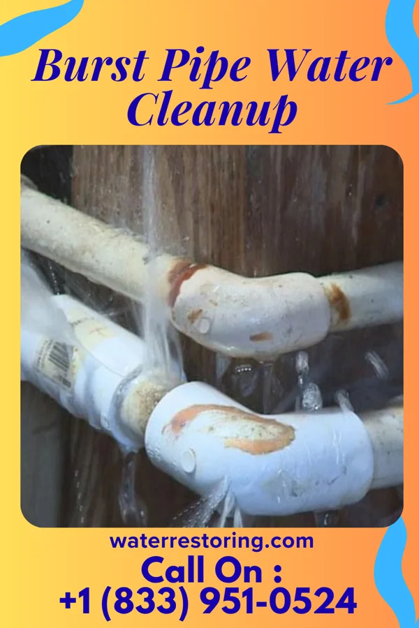 Burst Pipe Water Cleanup in Halaula, HI