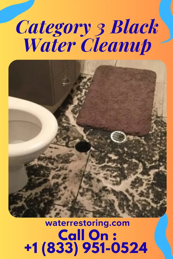 Category 3 Black Water Cleanup in Halaula, HI