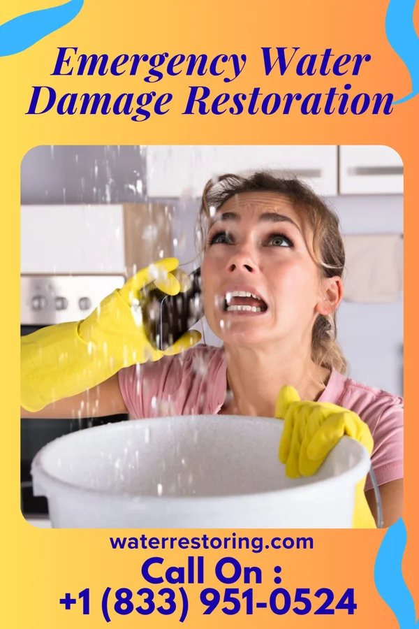 Emergency Water Damage Restoration in Halaula, HI