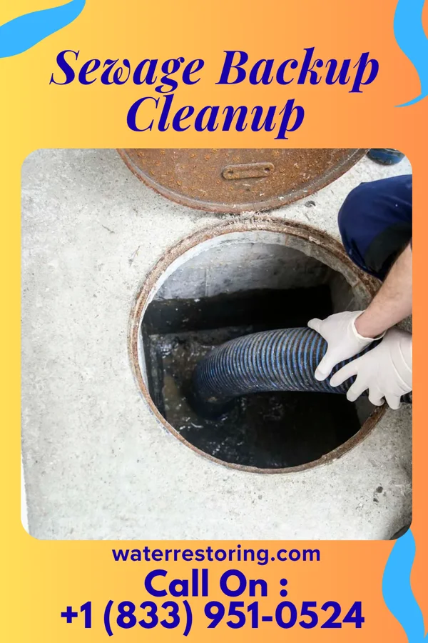 Sewage Backup Cleanup in Halaula, HI