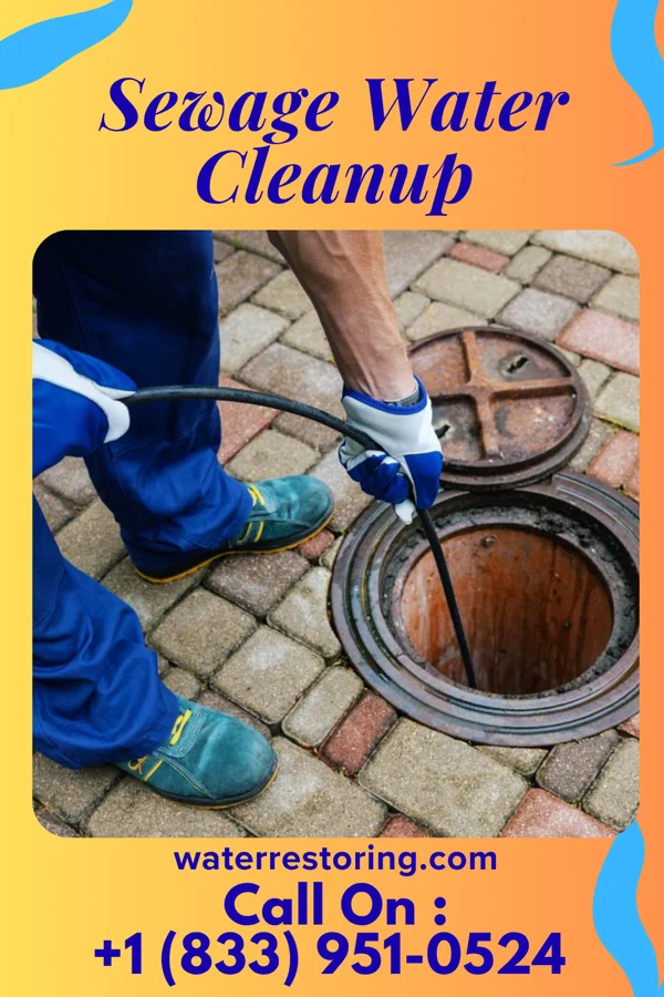 Sewage Water Cleanup in Halaula, HI
